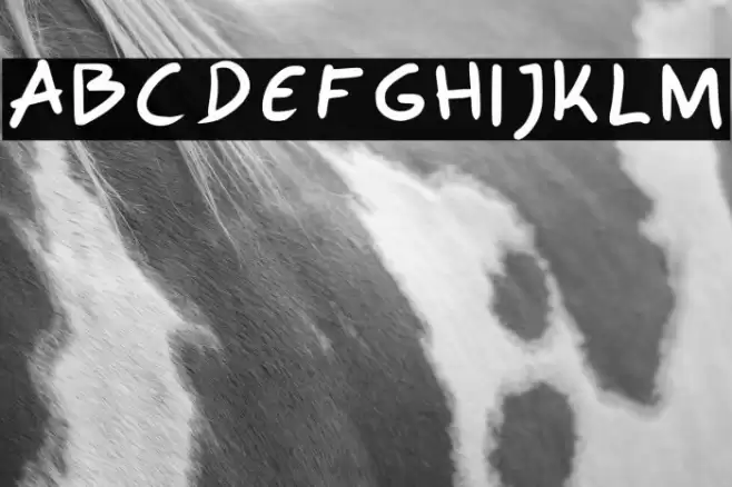 Polo Regular Font examples