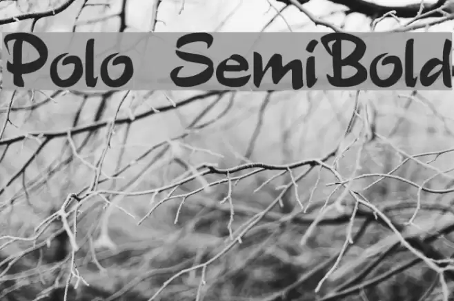 Polo SemiBold Font examples