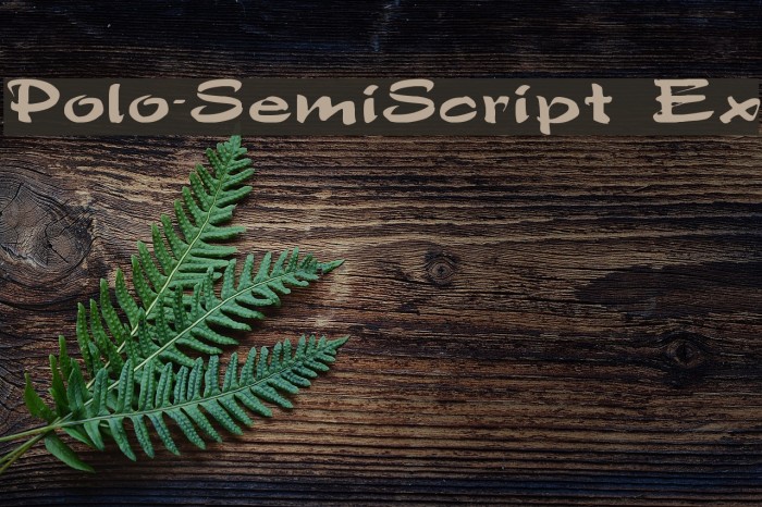 Polo-SemiScript Ex Font examples