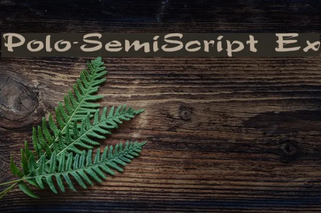 Polo-SemiScript Ex Example 1