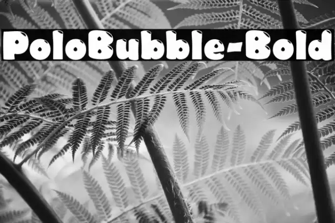 PoloBubble-Bold Font examples