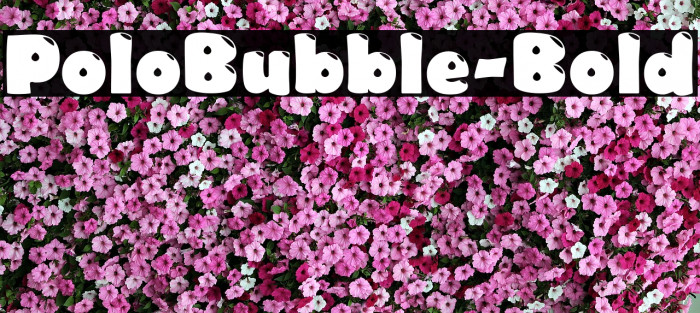 PoloBubble-Bold Example 2