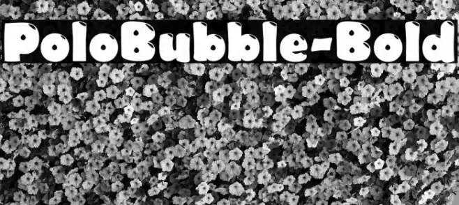 PoloBubble-Bold Font examples