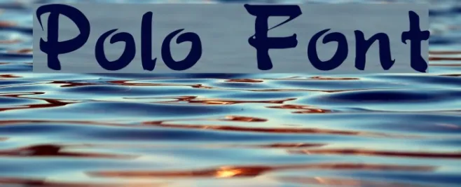 Polo Example 1