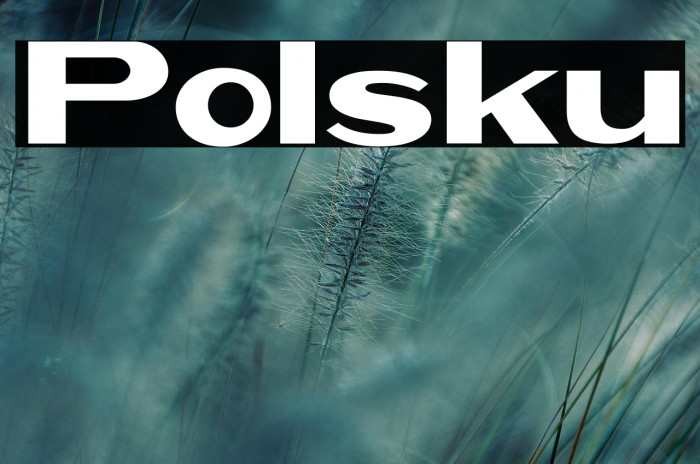 Polsku Example 2