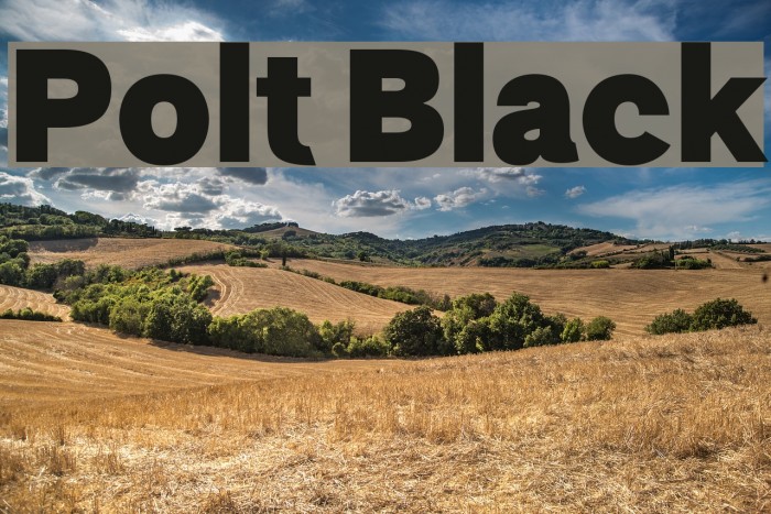 Polt Black Font examples