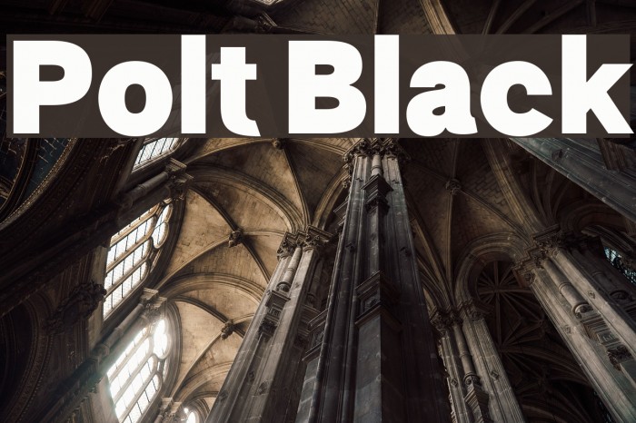 Polt Black Font examples