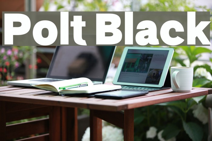 Polt Black Font examples
