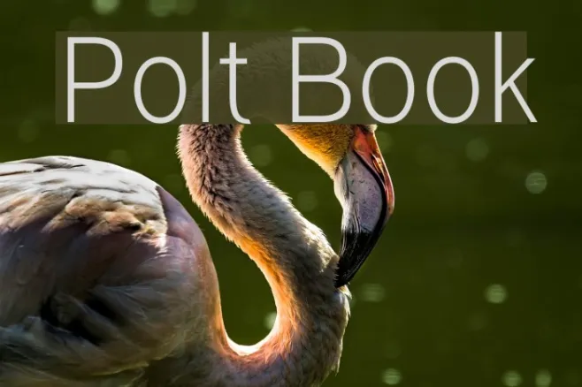 Polt Book Example 1