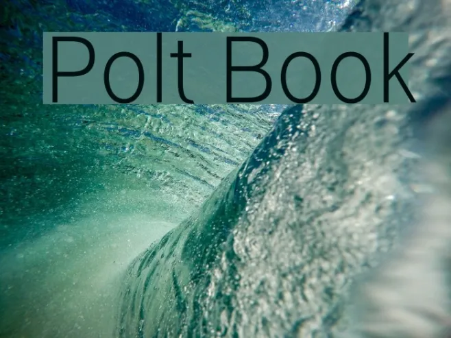 Polt Book Example 3