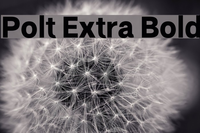 Polt Extra Bold Font examples