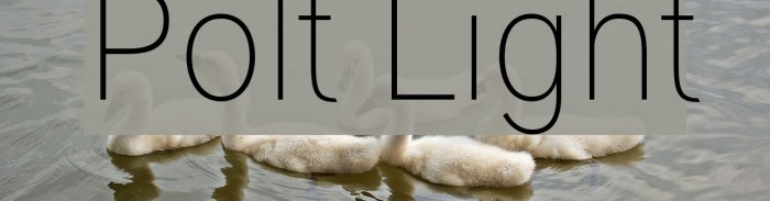 Polt Light Font examples