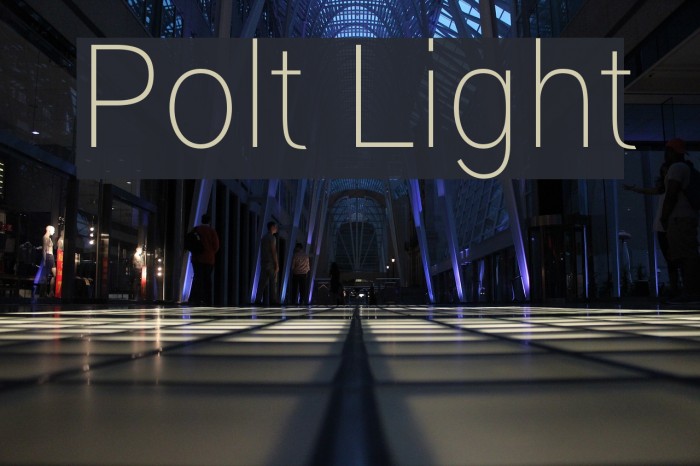 Polt Light Font examples