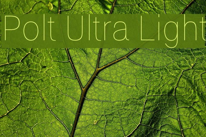 Polt Ultra Light Font examples