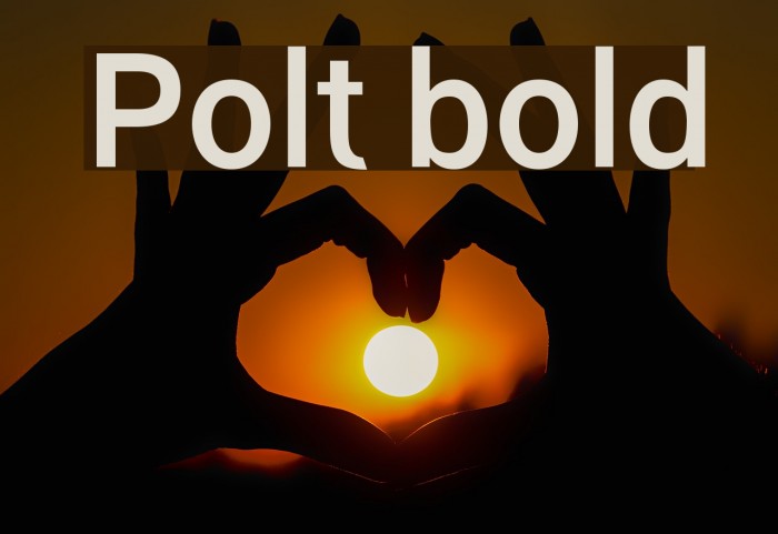 Polt bold Font examples