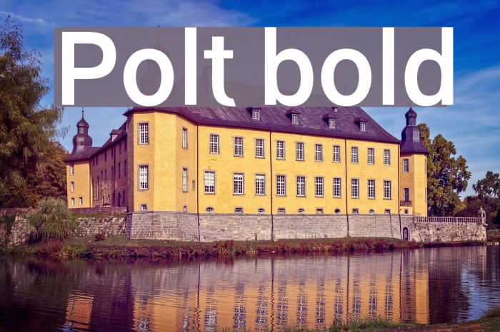Polt bold Font examples