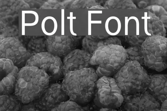 Polt Font examples