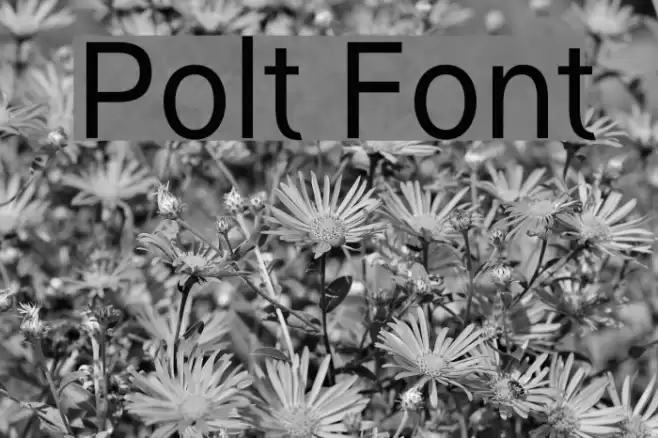 Polt Font examples