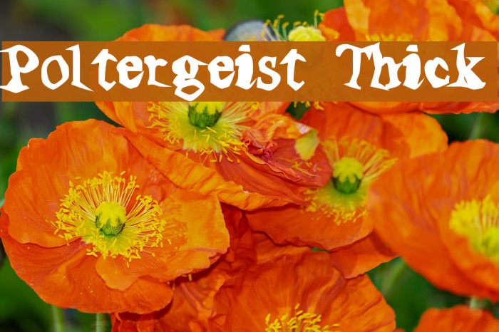 Poltergeist Thick Font examples