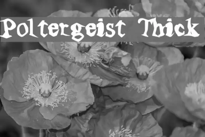 Poltergeist Thick Шрифта examples