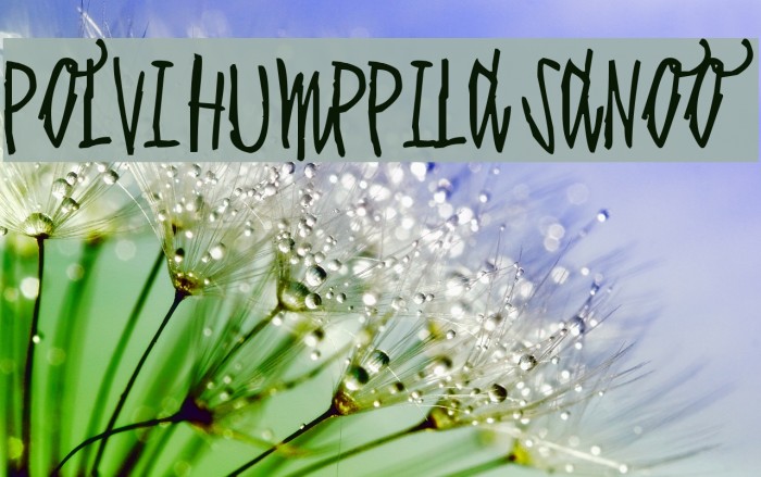 Polvi Humppila sanoo Example 1