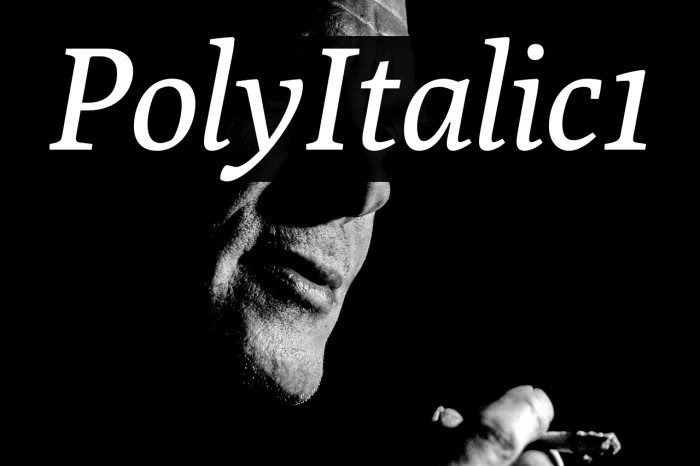 Poly-Italic1 Example 1