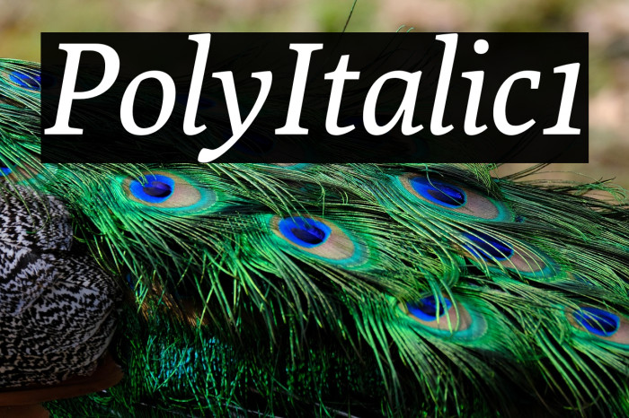 Poly-Italic1 Example 2