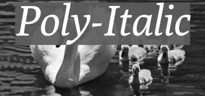 Poly-Italic Font examples