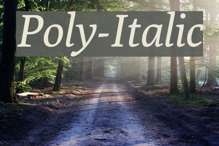Poly-Italic Font examples