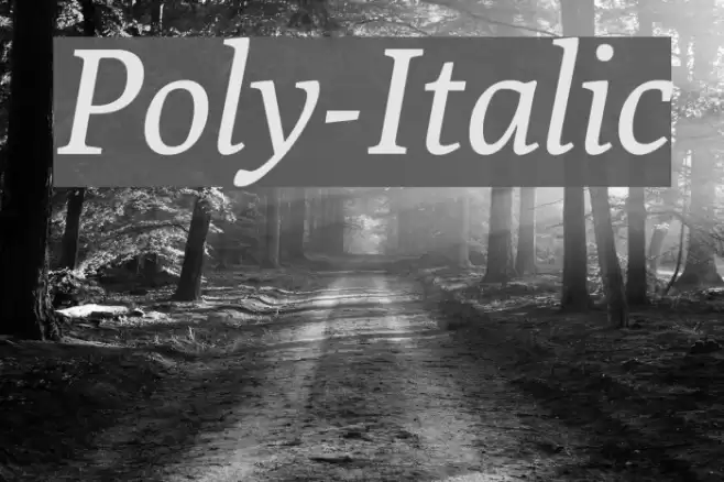 Poly-Italic Font examples