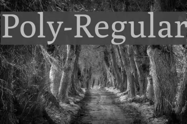 Poly-Regular Font examples