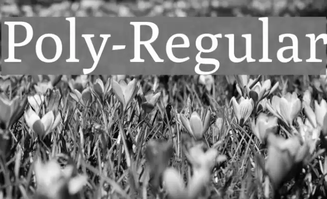 Poly-Regular Font examples