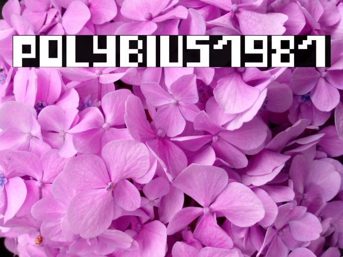 Polybius1981 Example 2