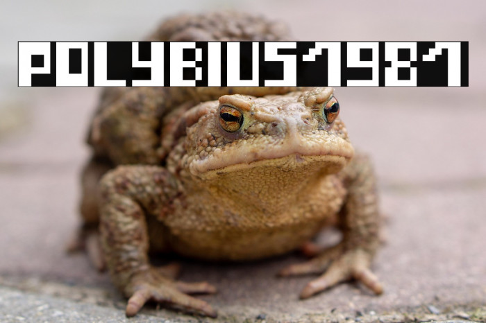 Polybius1981 Example 3