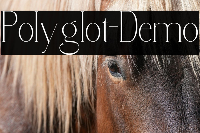 Polyglot-Demo Example 1