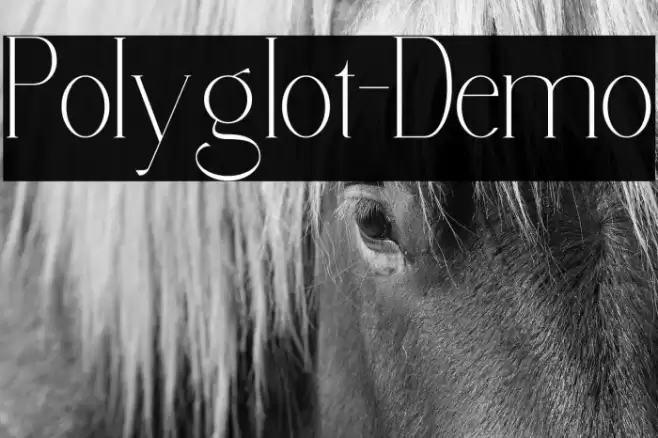 Polyglot-Demo Font examples