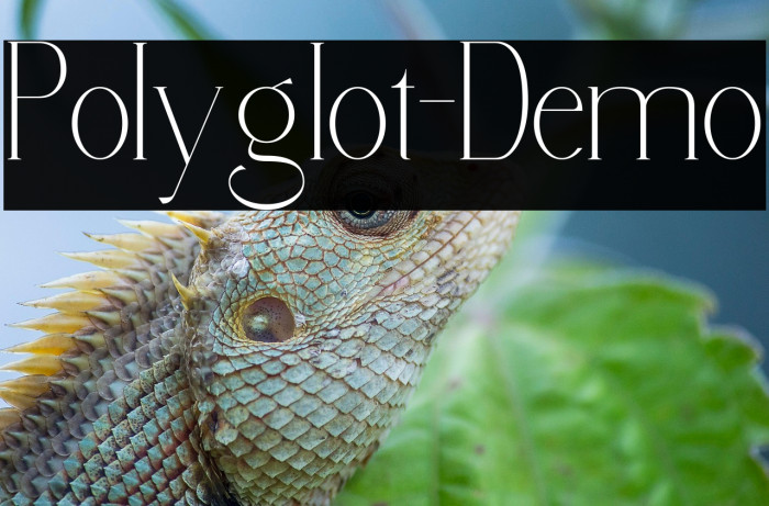 Polyglot-Demo Example 2