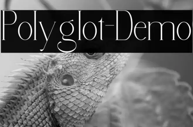 Polyglot-Demo Font examples