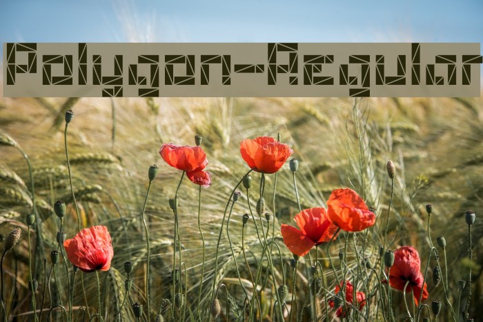 Polygon-Regular Example 2