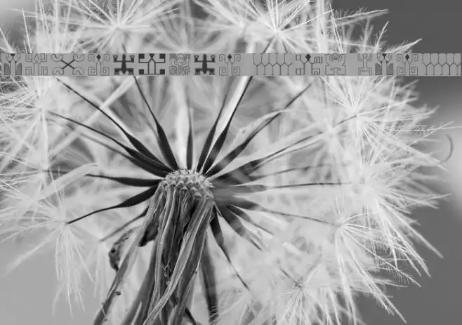 Polynesien Etua font Font examples