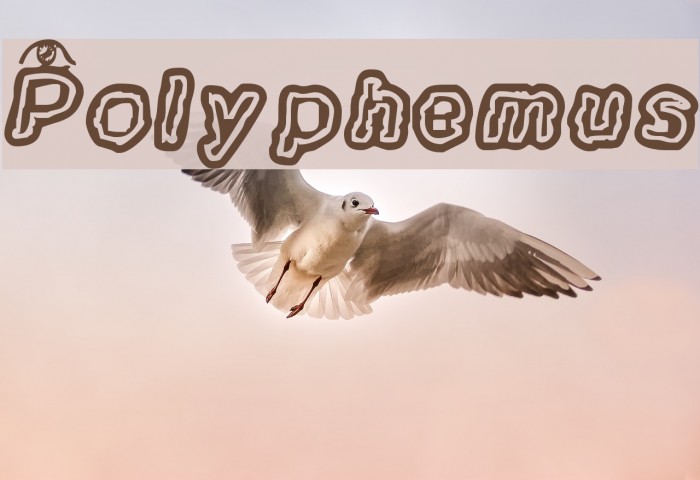 Polyphemus Example 1