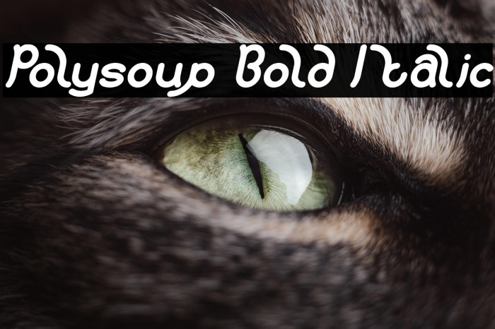 Polysoup Bold Italic Example 1