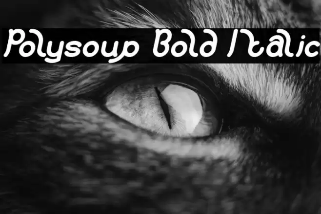 Polysoup Bold Italic Font examples