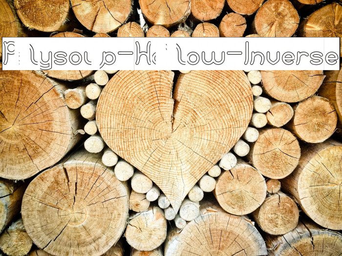 Polysoup-Hollow-Inverse Example 2