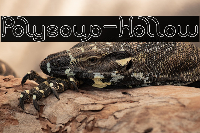 Polysoup-Hollow Example 3