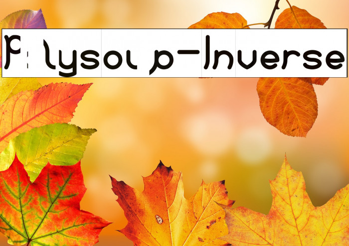 Polysoup-Inverse Example 1