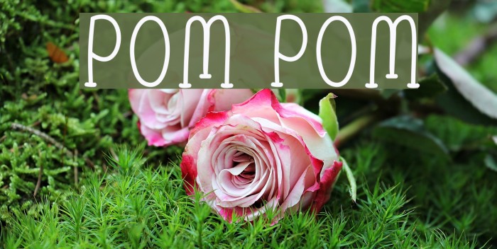 Pom Pom Font examples