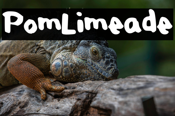 PomLimeade Example 2