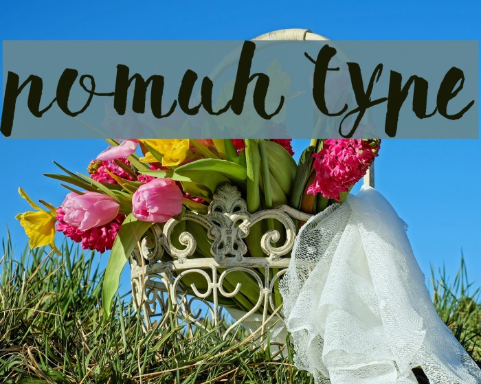 Pomah Type Font examples