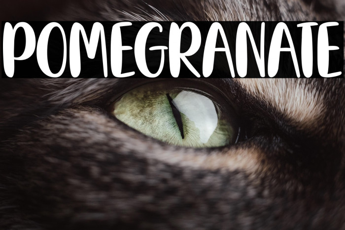 Pomegranate Example 1